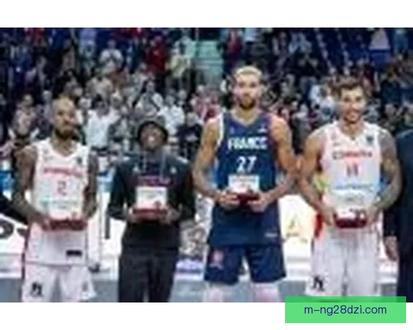 非足联谴责不当行为核查录像